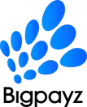 Bigpayz logo