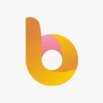 Bingopay logo