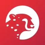 Sokin logo